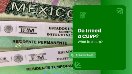 Do I need a CURP? What Is a CURP? 