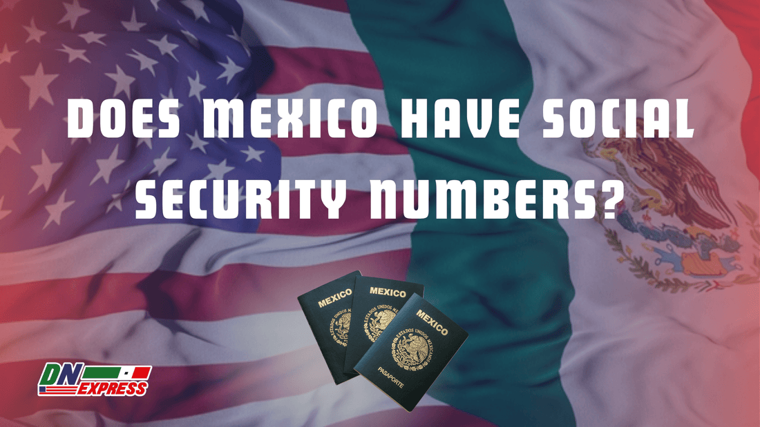 Does Mexico Have Social Security Numbers?