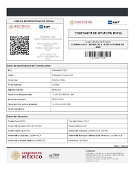 RFC (MEXICAN TAX ID)