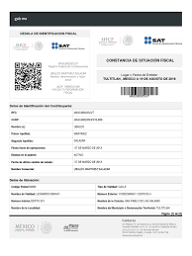 RFC (MEXICAN TAX ID)