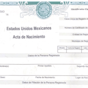 Scanned Mexican birth certificate page with official seal