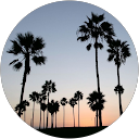 America profile picture